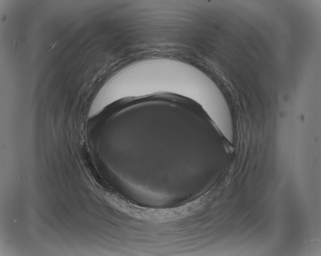 X0000085020031200703261232