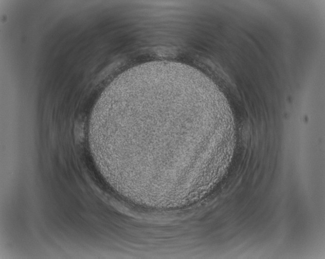 X0000085020032200703261232