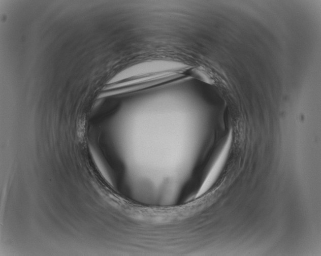 X0000085020033200703261232