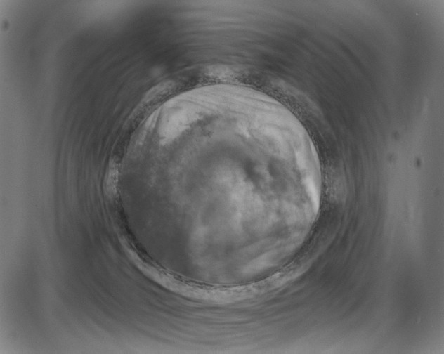 X0000085020036200703261232