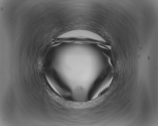 X0000085020037200703261232