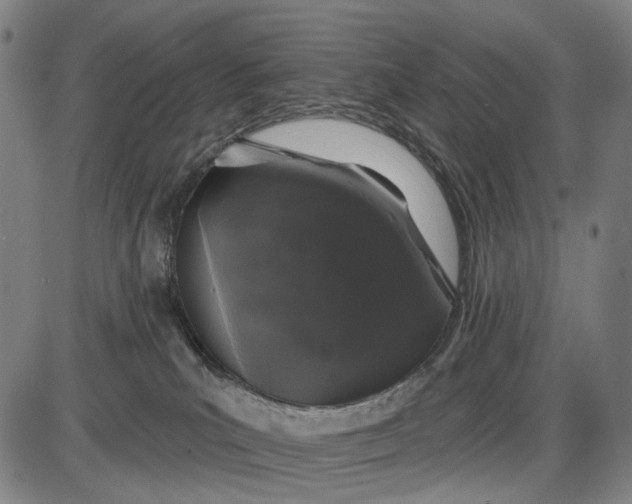X0000085020039200703261232
