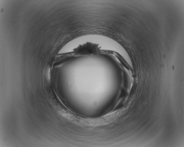 X0000085020041200703261232