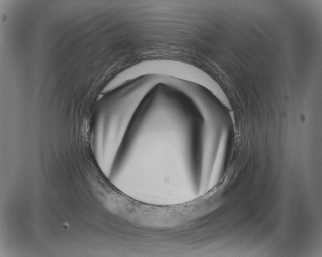 X0000085020045200703261232