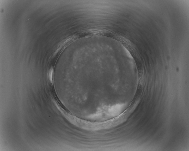 X0000085020047200703261232