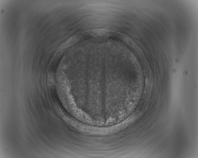 X0000085020048200703261232