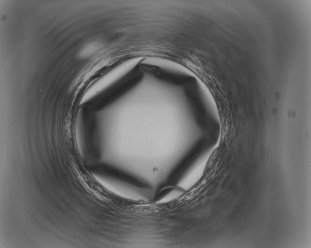 X0000085020050200703261231