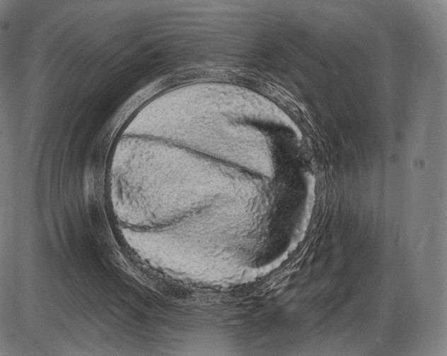 X0000085020051200703261231