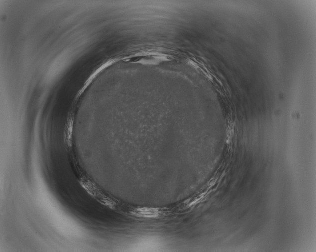 X0000085020052200703261231