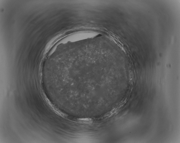 X0000085020053200703261231