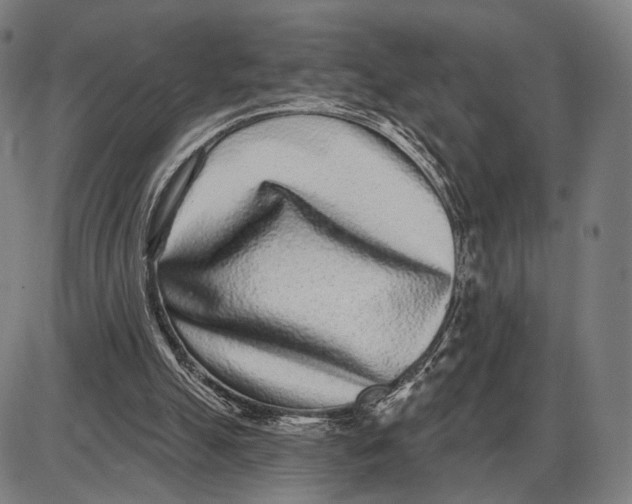 X0000085020055200703261231