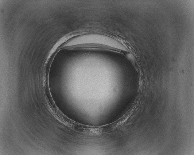 X0000085020056200703261231