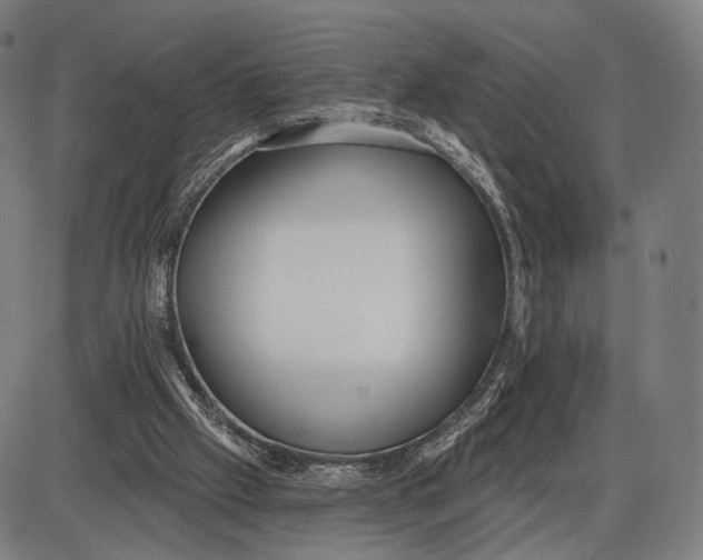 X0000085020057200703261231