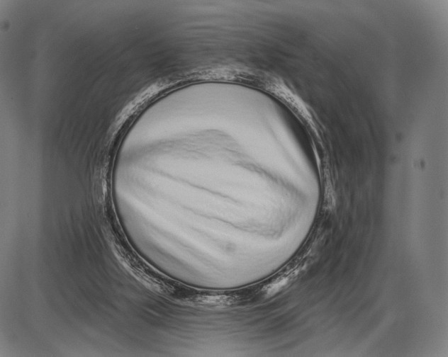 X0000085020059200703261231