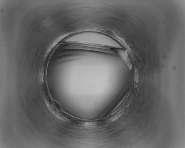 X0000085020060200703261231