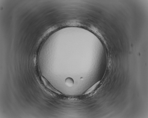 X0000085020063200703261231