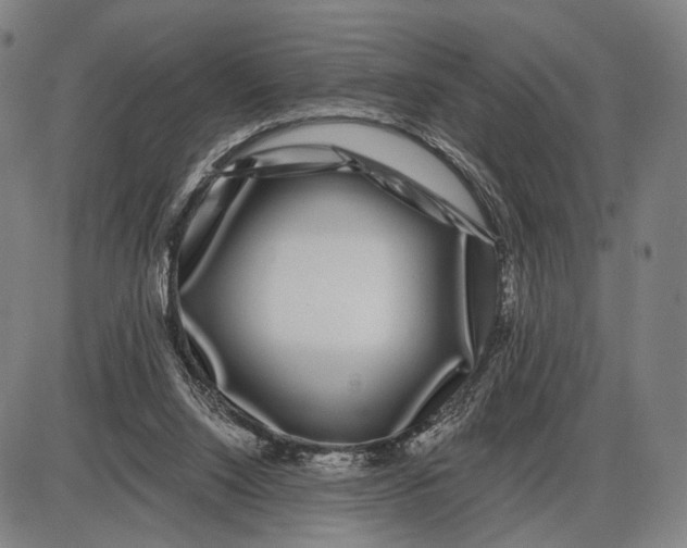 X0000085020064200703261231