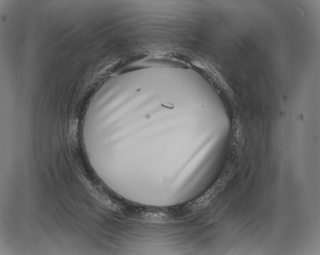 X0000085020066200703261231