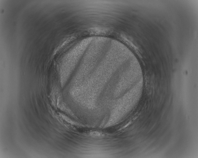 X0000085020067200703261231