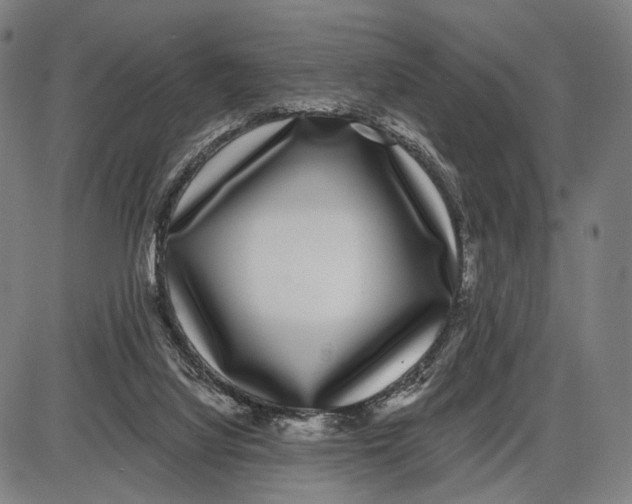 X0000085020068200703261231