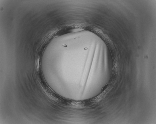 X0000085020070200703261231