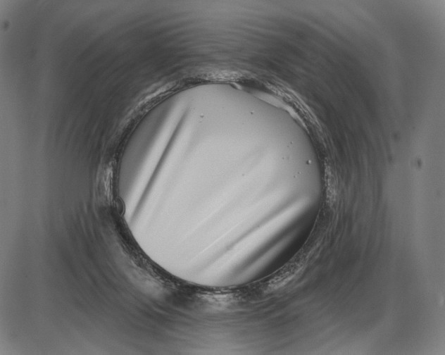 X0000085020071200703261231