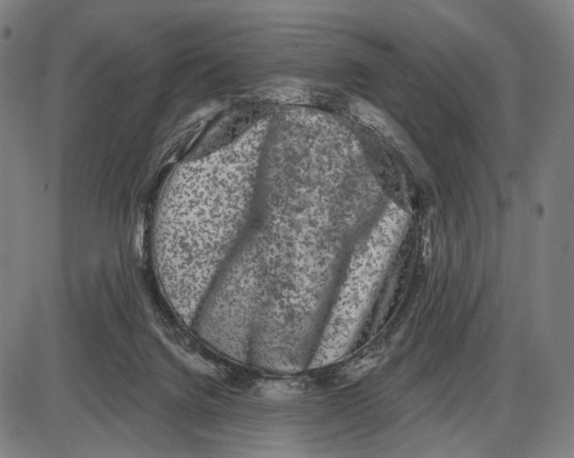 X0000085020072200703261231