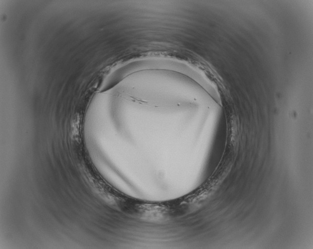 X0000085020073200703261231