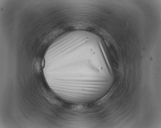 X0000085020074200703261231