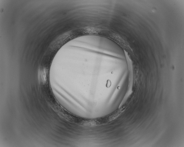 X0000085020075200703261231