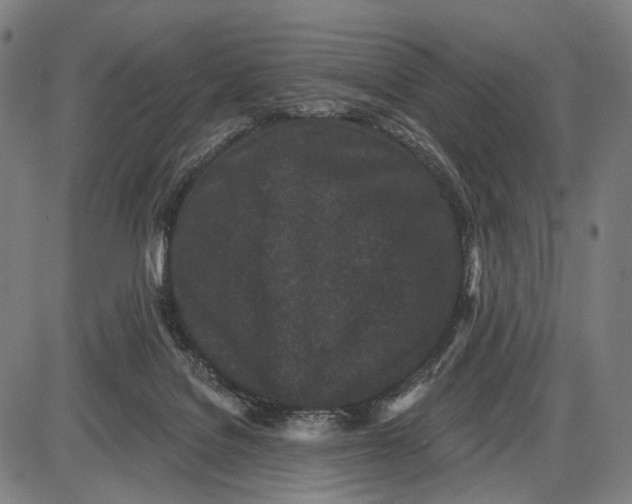 X0000085020076200703261231