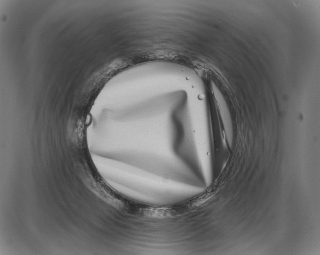 X0000085020077200703261231