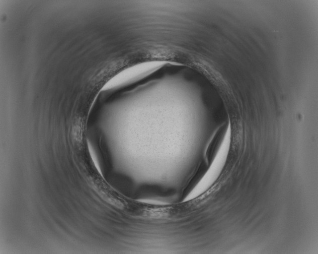 X0000085020078200703261231