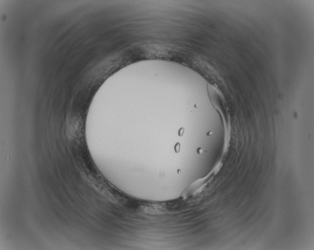 X0000085020079200703261231