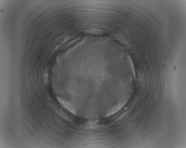 X0000085020080200703261231