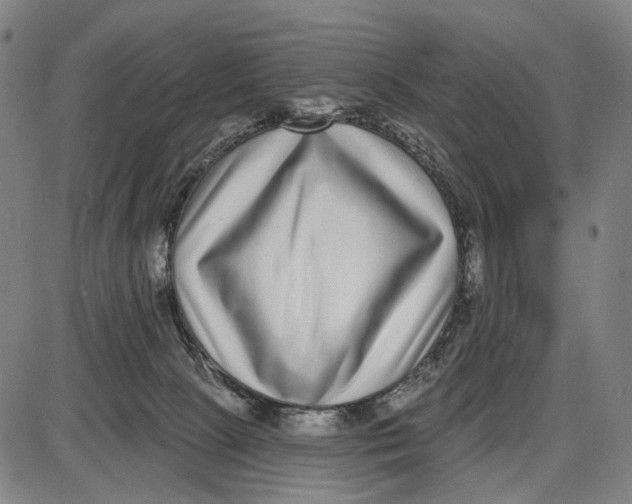 X0000085020081200703261231