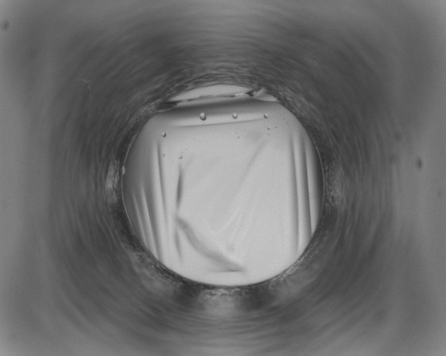 X0000085020082200703261231