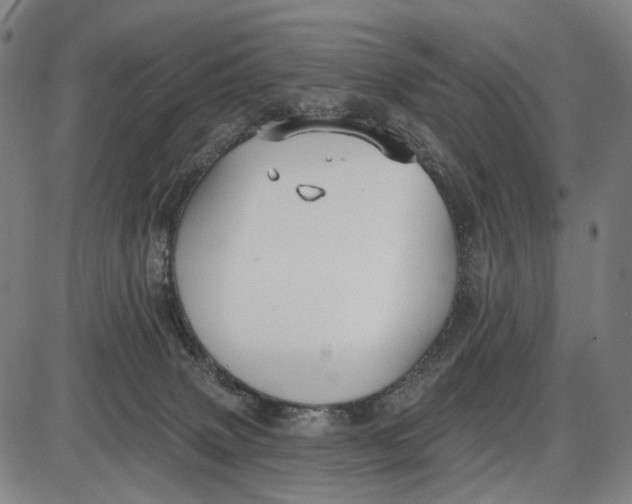 X0000085020083200703261231