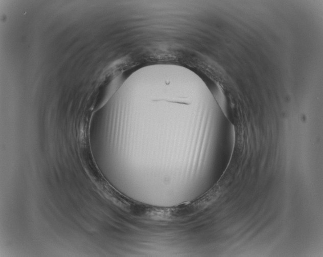 X0000085020084200703261231