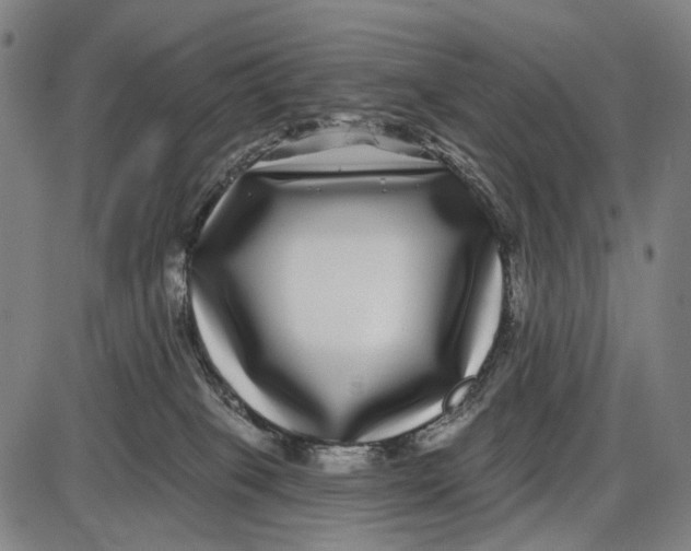 X0000085020085200703261231