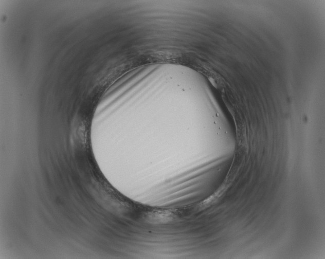 X0000085020086200703261231