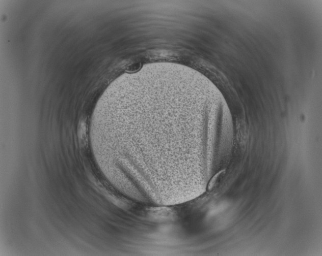 X0000085020087200703261231