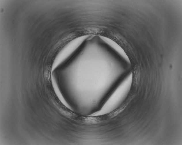 X0000085020091200703261232