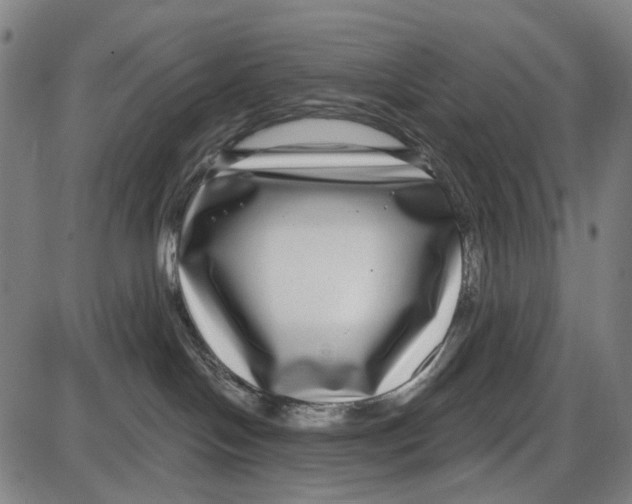 X0000085020094200703261232