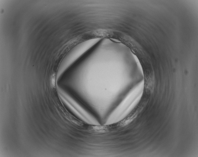 X0000085020095200703261232