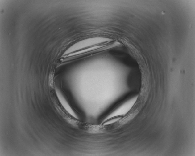 X0000085020096200703261232
