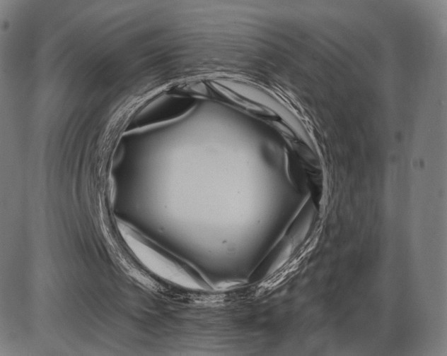 X0000085020097200703261231