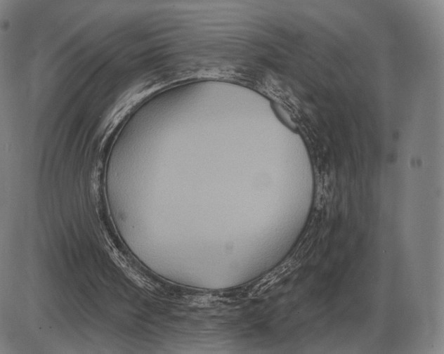 X0000085020098200703261231