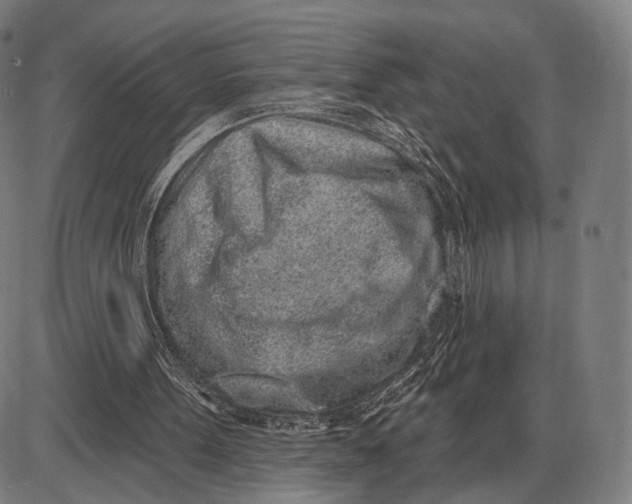 X0000085020099200703261231