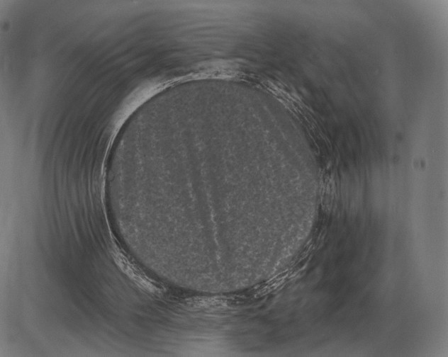 X0000085020100200703261231